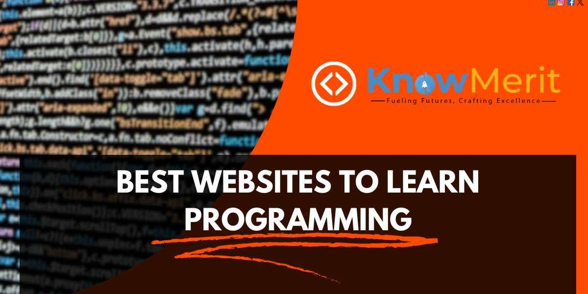 KnowMerit: Empowering Your Best websites to Learn Programming Journey