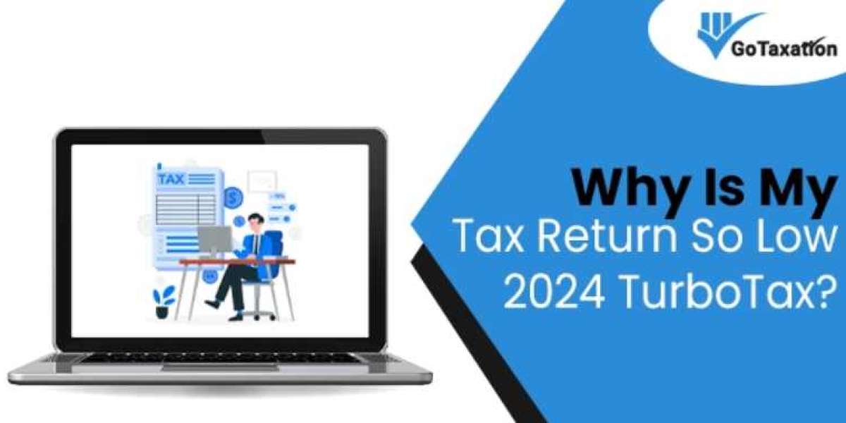 Troubleshooting: Why Is My Tax Return So Low 2024 TurboTax