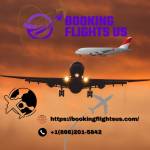 booking flightus Profile Picture