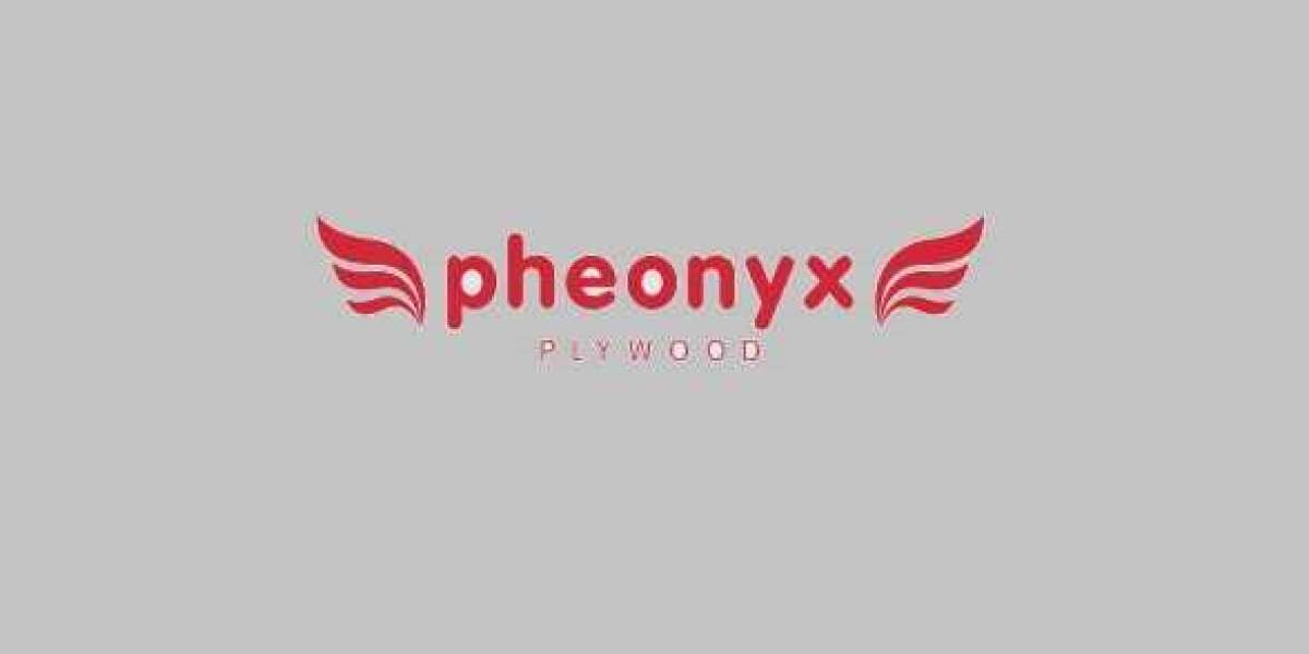 Plywood manufacturers in Delhi (India)