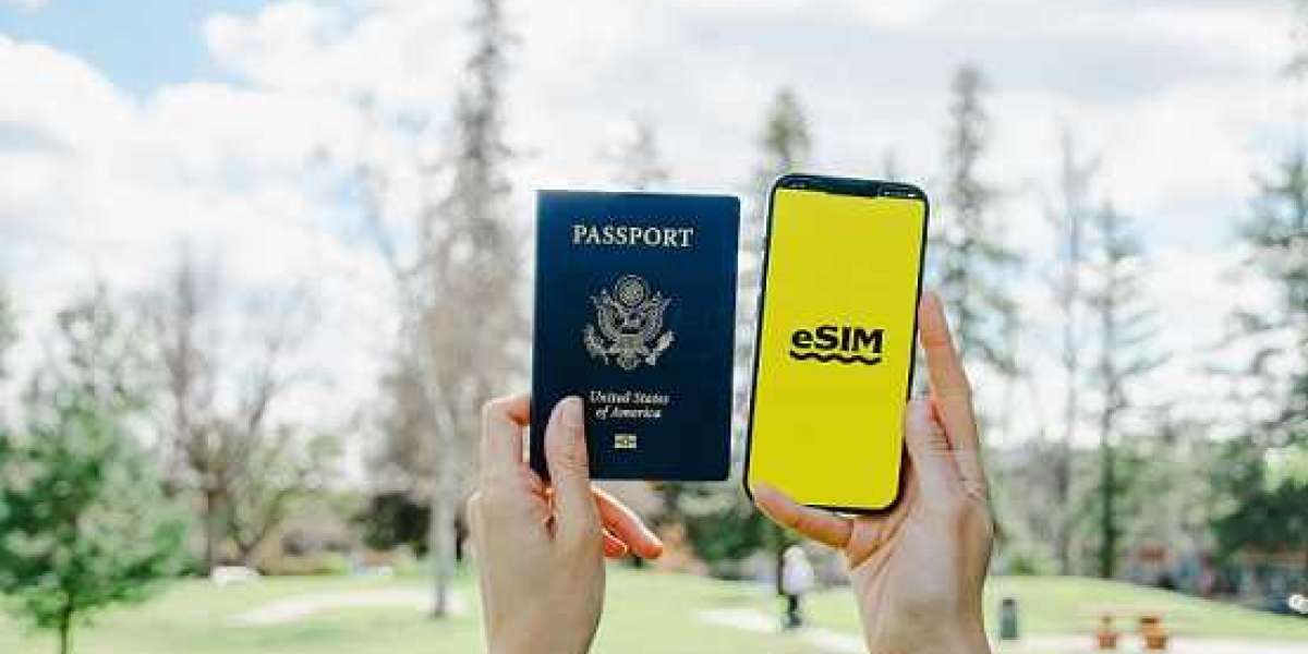 Comparing Travel eSIM vs Traditional SIM Cards: Which Is Better for International Travel?