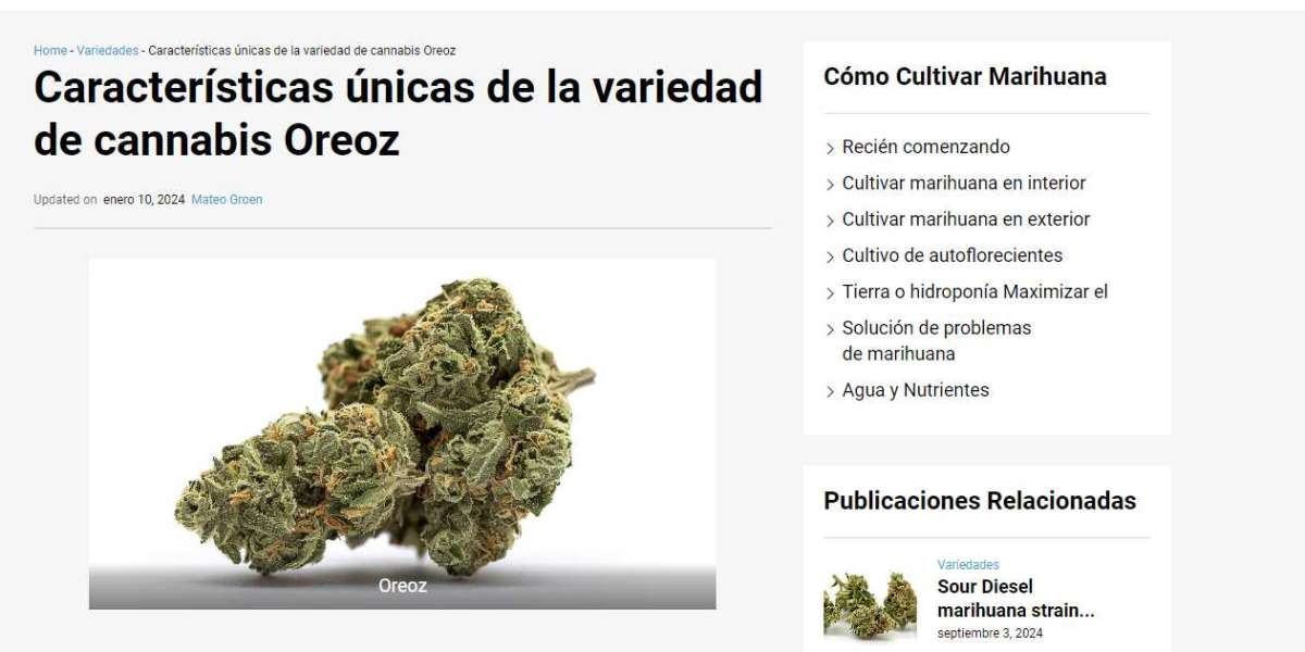 Características únicas de la variedad de cannabis Oreoz