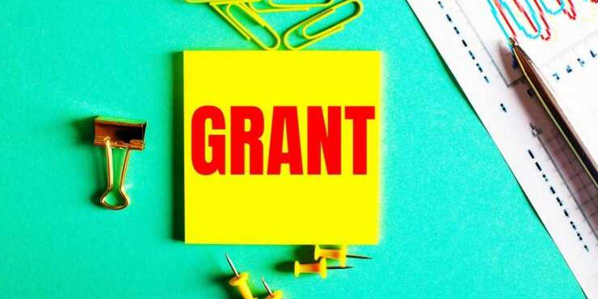 The Benefits of Hiring an EDG Grant Consultant for Small Businesses