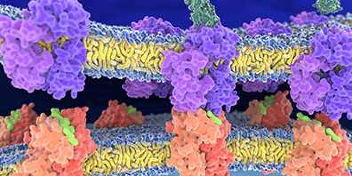 The Role of Antimicrobial Peptides, Cell Penetrating Peptides, and Peptide Synthesis in Modern Science