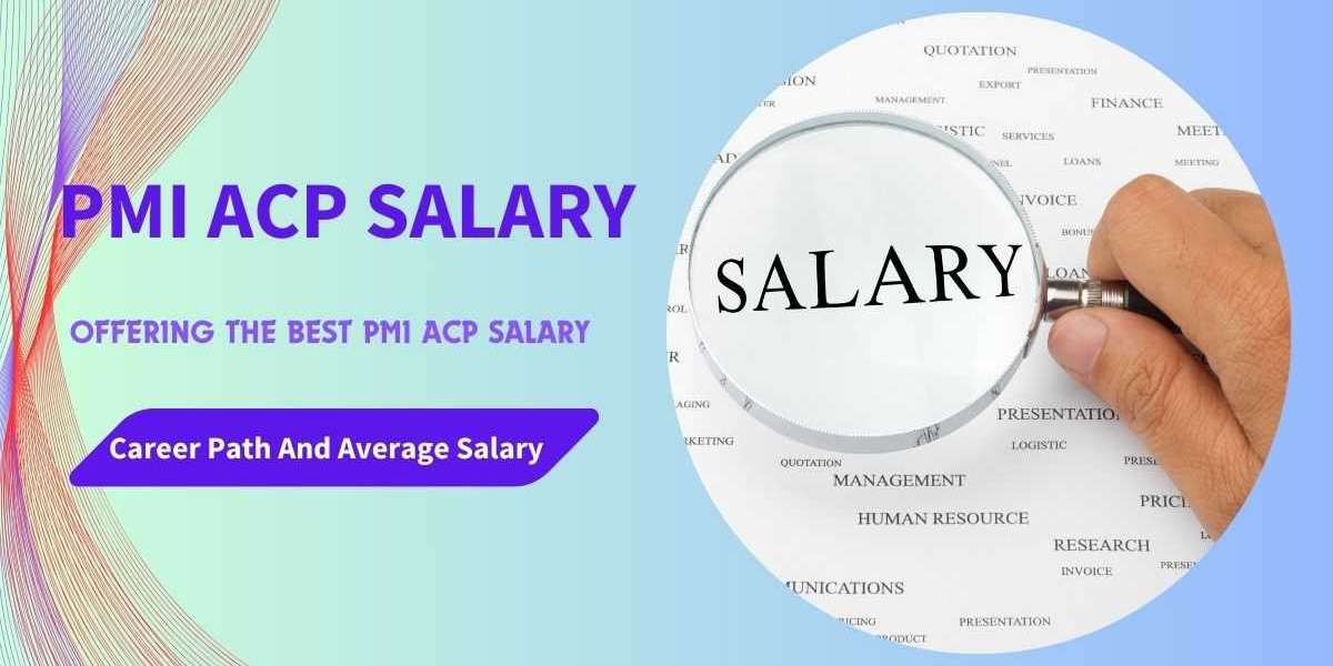 PMI ACP Salary Comparison: US vs Global