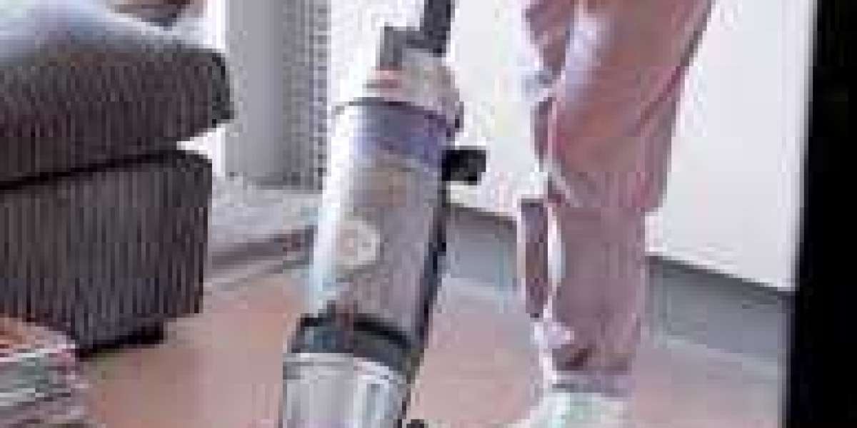 Why Every Home Should Opt for Professional Carpet Cleaning Services