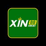 xin88comnet Profile Picture